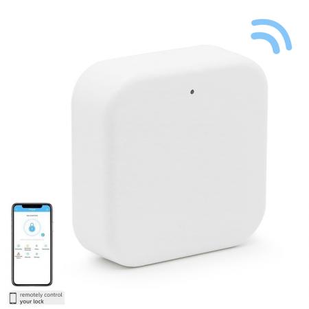 G2 WiFi Gateway