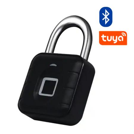 Tuya Fingerprint Lock